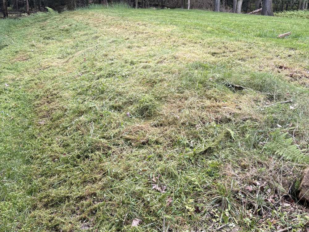 The same field cut down flat and cleared to the tree line