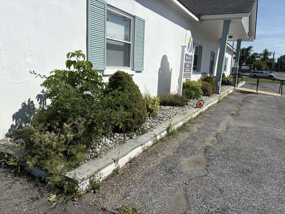 Business frontage with overgrown shrubs spilling across the stone bed